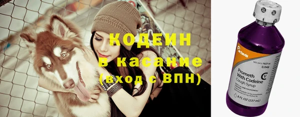 мет Арсеньев