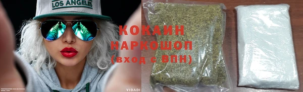 индика Баксан