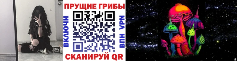 Галлюциногенные грибы Magic Shrooms  Купить где  Белинский 
