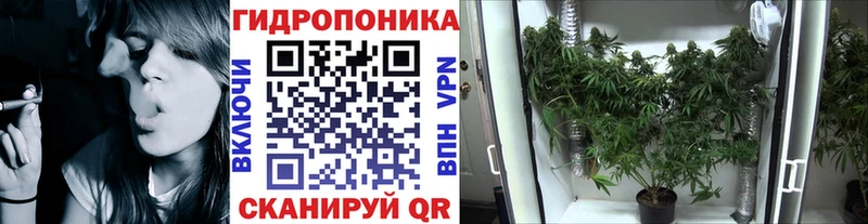 Бошки марихуана гибрид  Купить закладки  Белинский 